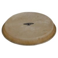 0x20Latinx20Percussionx20CP221Ax20Pellex20Bongox20CPx20Traditionalx20