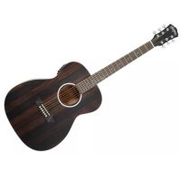 Washburnx20Deepx20Forestx20Ebonyx20FEx20Stripedx20Ebony